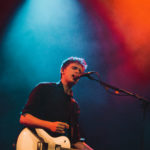 KNTC stuffed foxes oiseaux-tempête jack jack bron lyon