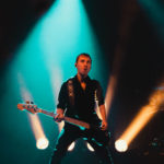 KNTC stuffed foxes oiseaux-tempête jack jack bron lyon