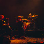 KNTC stuffed foxes oiseaux-tempête jack jack bron lyon