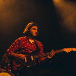 KNTC stuffed foxes oiseaux-tempête jack jack bron lyon