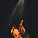 KNTC stuffed foxes oiseaux-tempête jack jack bron lyon