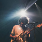 KNTC stuffed foxes oiseaux-tempête jack jack bron lyon