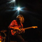 KNTC stuffed foxes oiseaux-tempête jack jack bron lyon