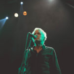 KNTC stuffed foxes oiseaux-tempête jack jack bron lyon