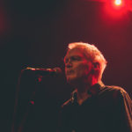 KNTC stuffed foxes oiseaux-tempête jack jack bron lyon