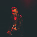 KNTC stuffed foxes oiseaux-tempête jack jack bron lyon