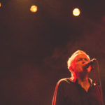 KNTC stuffed foxes oiseaux-tempête jack jack bron lyon