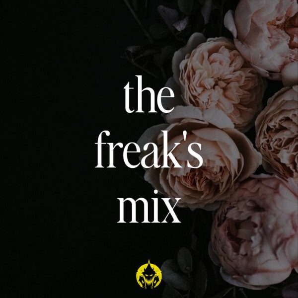 house of freaks, playlist, home sweet haunted home, the freak's mix, blog musical, In Inertia, In Motion, Johnny Foreigner, What The Alexei, Jaye Jayle, Father Fiction, Coheed And Cambria, Searching For Tomorrow, Franz Ferdinand, Night Or Day, Your Future Ghost, We’ve Got Places, Brutus, Paradise, Tamino, Dissolve, Saint Etienne, Half Light, Led Zeppelin, Stairway To Heaven, Damien Jurado, Abilene