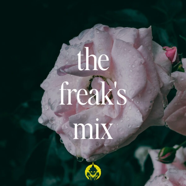 house of freaks, playlist, home sweet haunted home, the freak's mix, blog musical, jutes, artemas, telekinesis, Skye Newman, lissie, twenty one pilots, silversun pickups, we were promised jetpacks, the temper trap